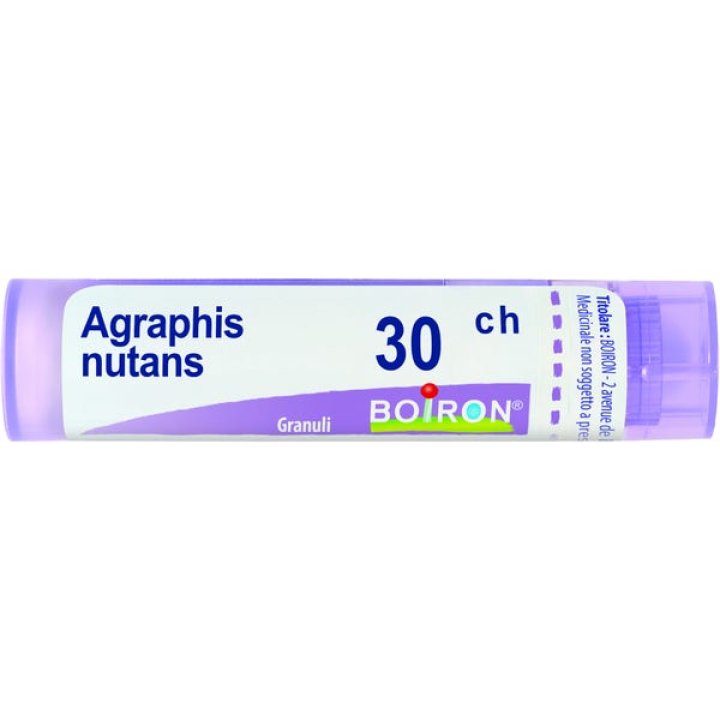 AGRAPHIS NUTANS 30CH GR