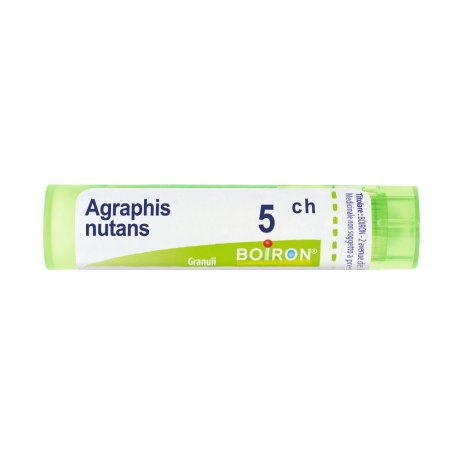AGRAPHIS NUTANS*80 granuli 5 CH contenitore multidose