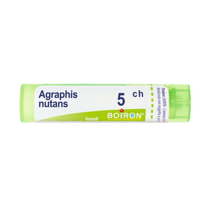 AGRAPHIS NUTANS*80 granuli 5 CH contenitore multidose AGRAPHIS NUTANS*80 granuli 5 CH contenitore multidose