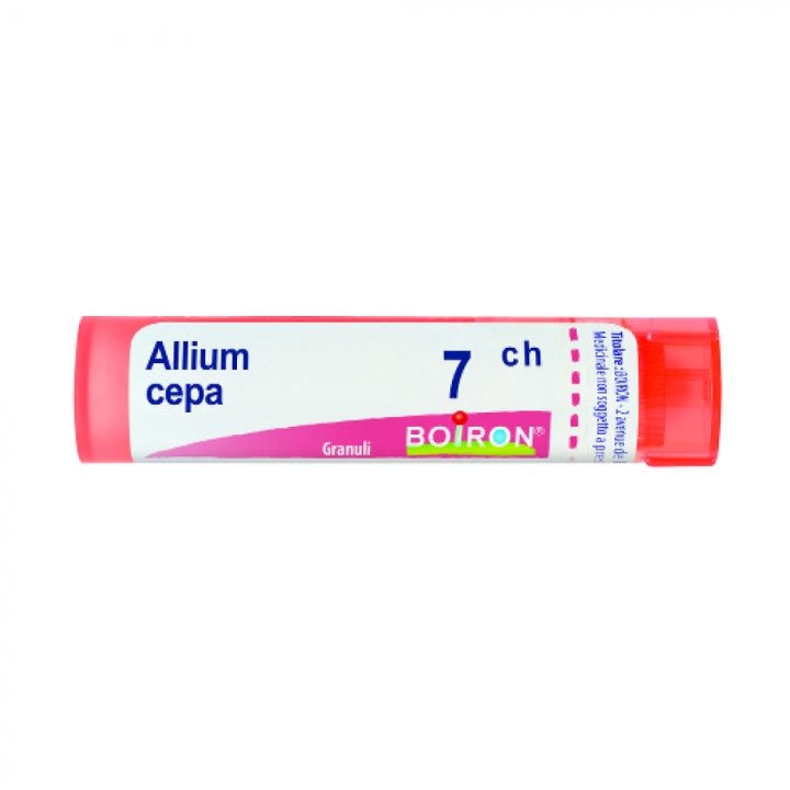 ALLIUM CEPA*7CH 80GR 4G