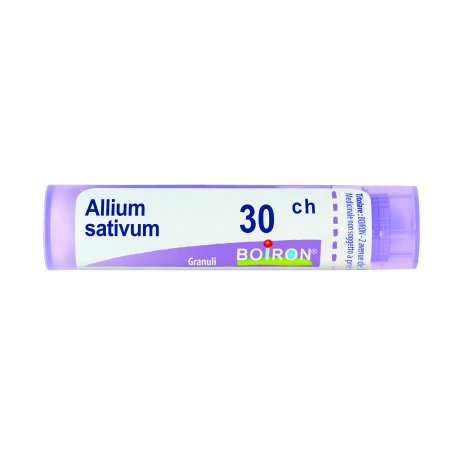 ALLIUM SATIVUM*30CH 80GR 4G