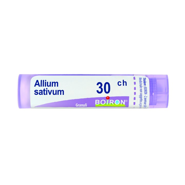 ALLIUM SATIVUM*30CH 80GR 4G