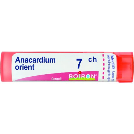 ANACARDIUM ORIENT 7CH GR