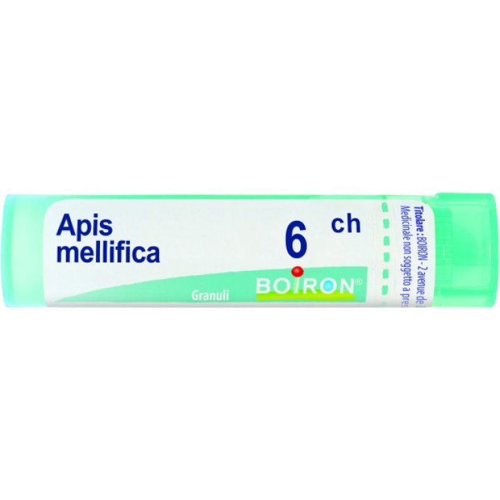 APIS MELLIFICA 6CH GRANULI