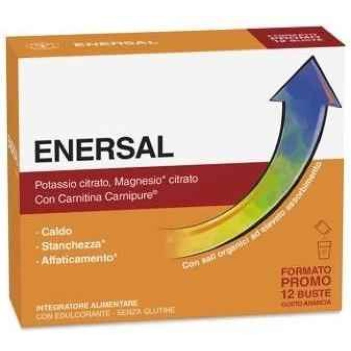LFP PROMO ENERSAL 12 BUSTE LFP PROMO ENERSAL 12 BUSTE