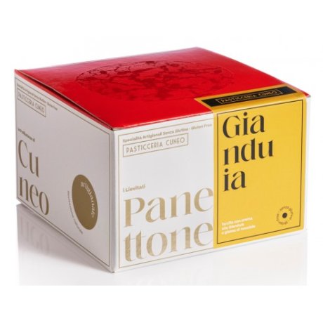 PANETTONE FARCITO GIANDUIA 600 G