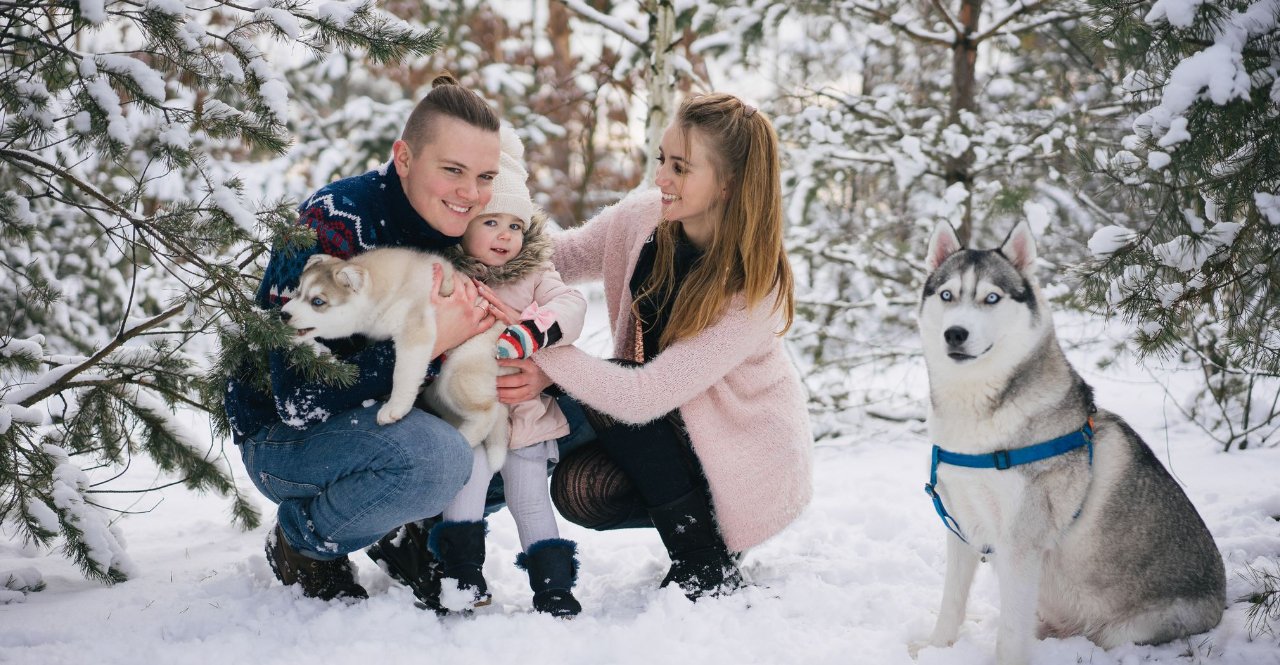 Freddo e animali domestici: consigli pratici per proteggerli durante l’inverno