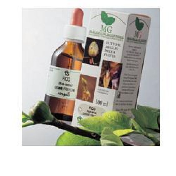 ROSA CANINA 100ML MG ROSA CANINA 100ML MG