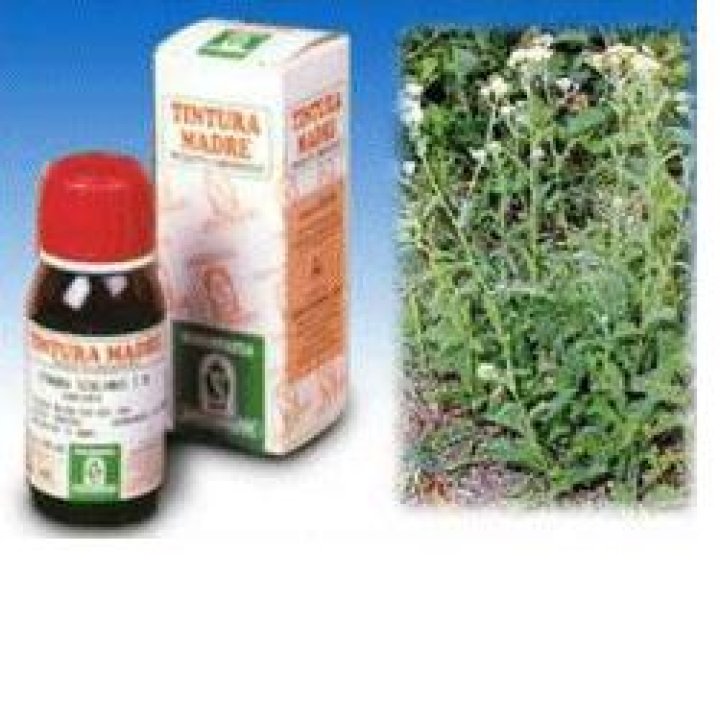 ACHILLEA 51 50ML TM