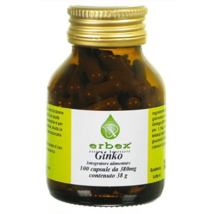 GINK BILOBA 100 CAPSULE 380 MG