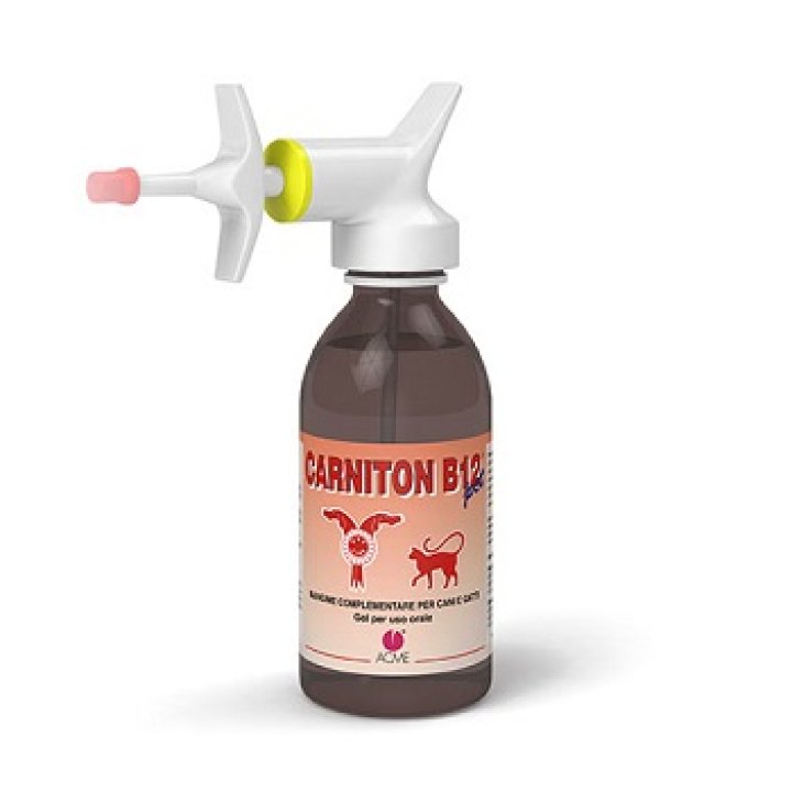 CARNITON B 12 GEL 125 ML