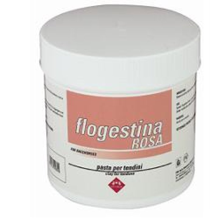 FLOGESTINE ROSA PASTA 1 KG