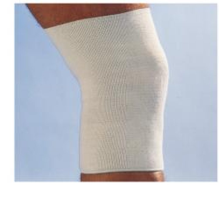 SCUDOTEX GINOCCH SOST BI 5