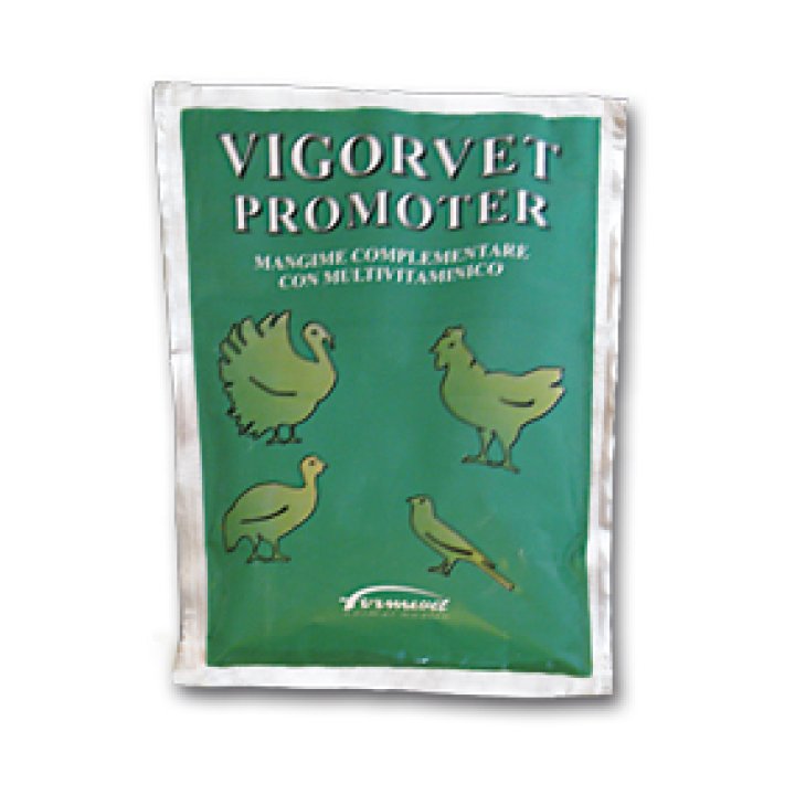 VIGORVET PROMOTER 100G