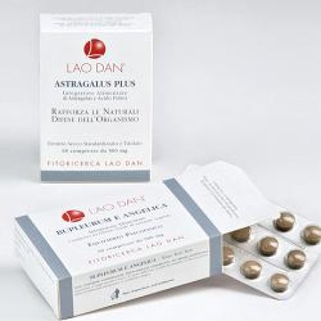 GINSENG SCHISANDRA 60CPR GINSENG SCHISANDRA 60CPR