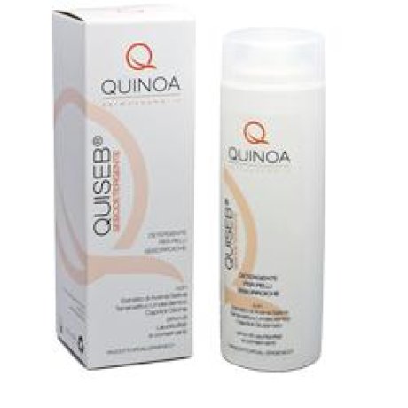 QUISEB SEBODETERGENTE FLUIDO 200 ML