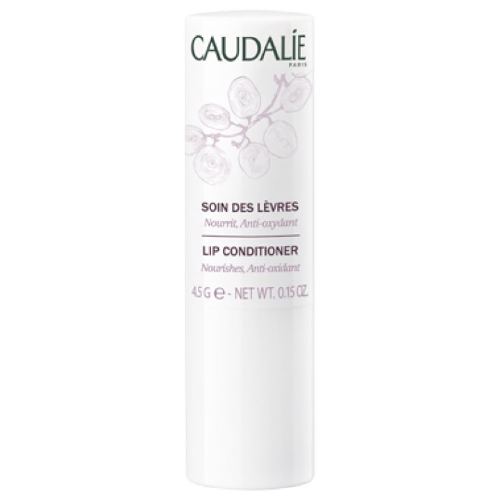 CAUDALIE CURA LABBRA PELLI SENSIBILI 4 G