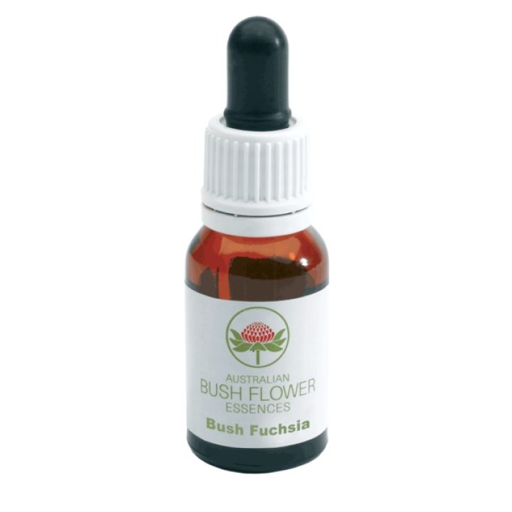 BUSH FUCHSIA CCE 15ML