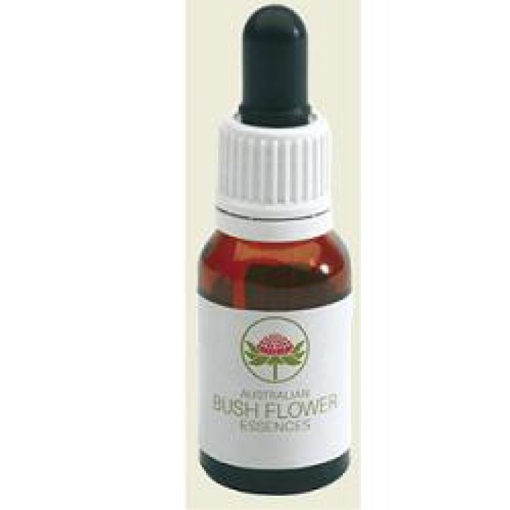 GYMEA LILY 15ML GTT GYMEA LILY 15ML GTT