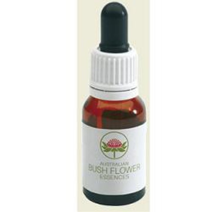 KAPOK BUSH AUSTRALIAN 15ML GTT