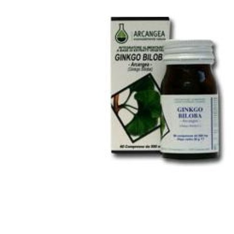 GINK BILOBA 60 CAPSULE 500 MG