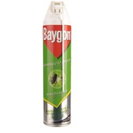 BAYN SCARAFAGGI/FORMICHE POLVERE GRANI 250 G