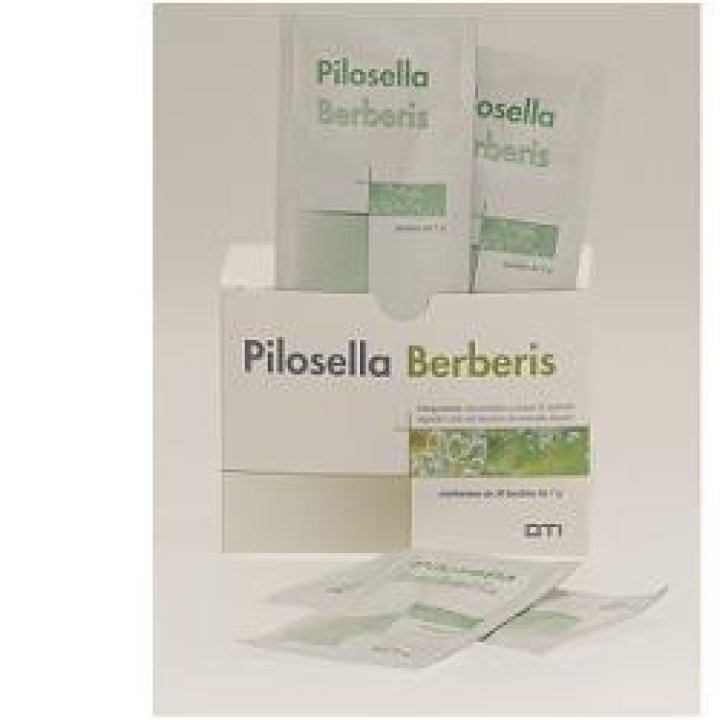 PILOSELLA-BERBERIS 30 BUSTINE