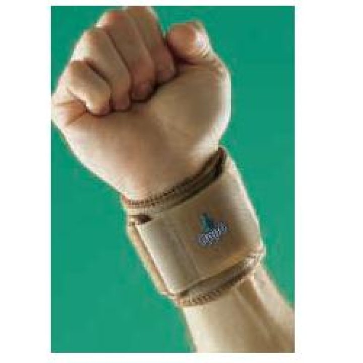 OPPO NEOPRENE POLS REG 1081 OPPO NEOPRENE POLS REG 1081
