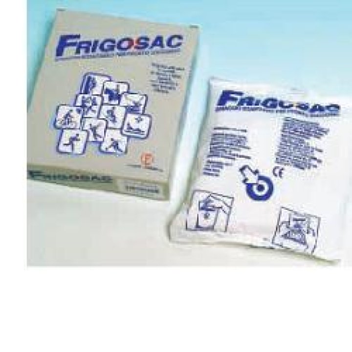 FRISAC GHIACCIO ISTANTANEO CON ASTUCCIO 2 PEZZI