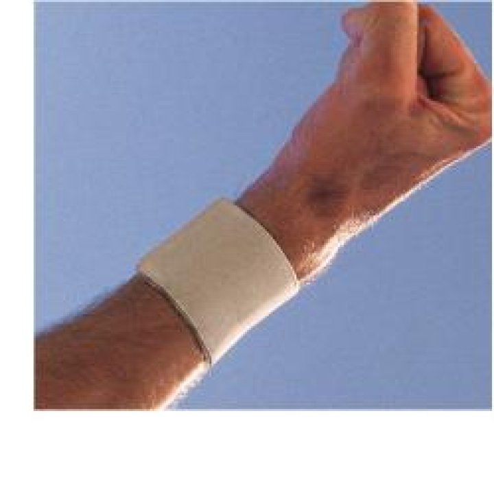 SCUDOTEX POLS REG NAT 3 541