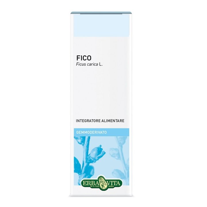 GEMMODERIVATO FICO 50ML GEMMODERIVATO FICO 50ML
