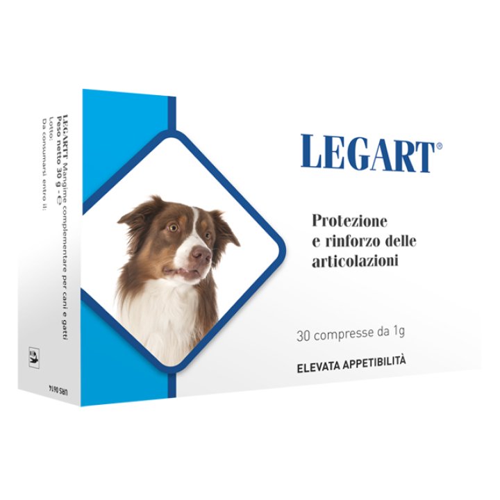 LEGART 30CPR