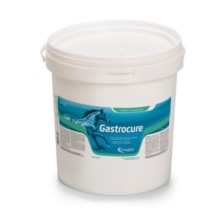 GASTROCURE 2,6KG