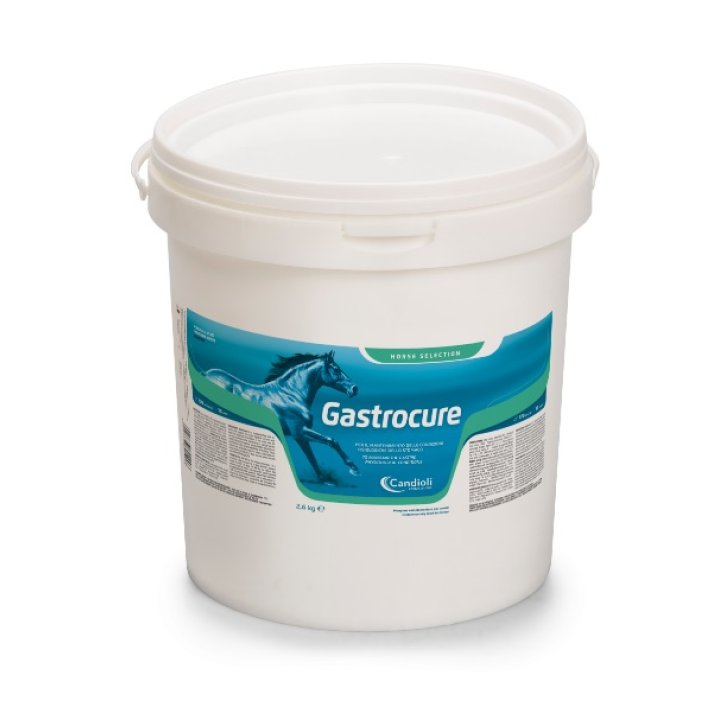 GASTROCURE 2,6KG