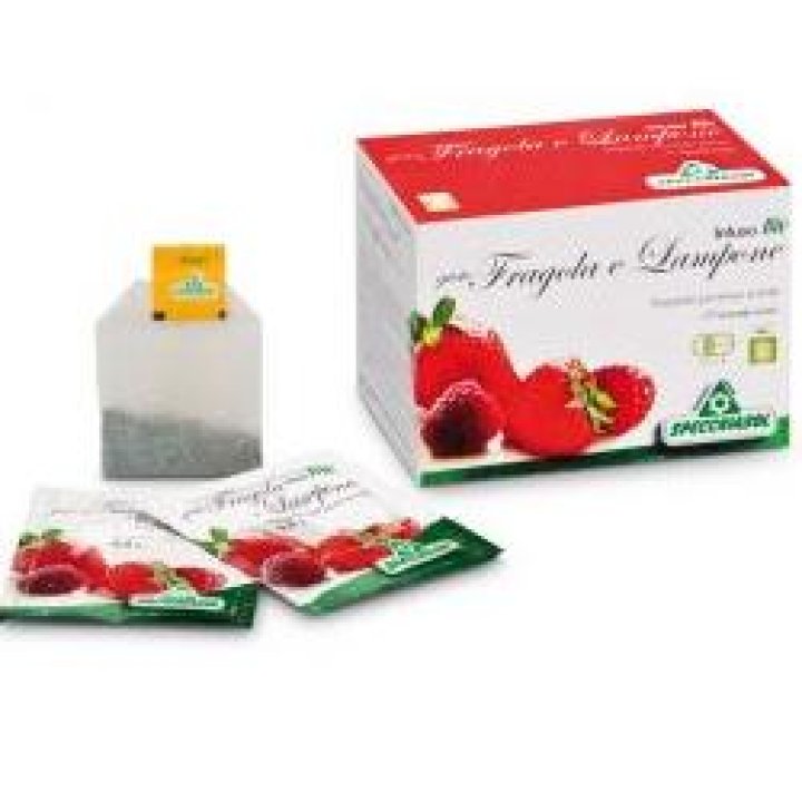 INFUSO FRALA/LAMPONE 20 FILTRI