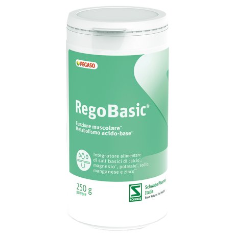 REBASIC POLVERE 250 G