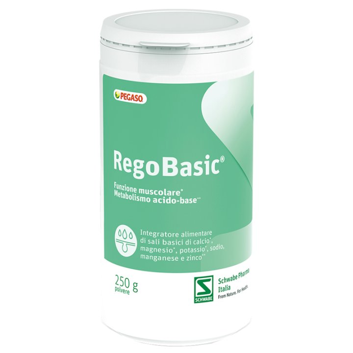 REBASIC POLVERE 250 G