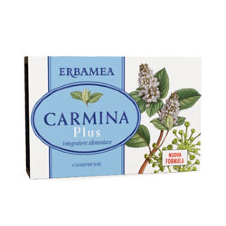 CARMINA PLUS 24 COMPRESSE 19,2 G