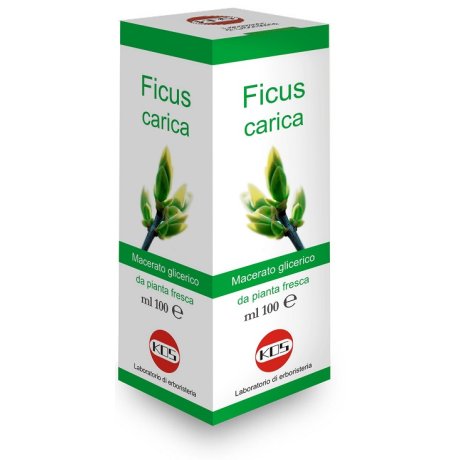 FICUS CARICA MG 100ML