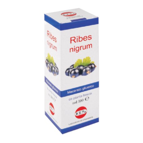 RIBES NIGRUM MG 100 ML CCE