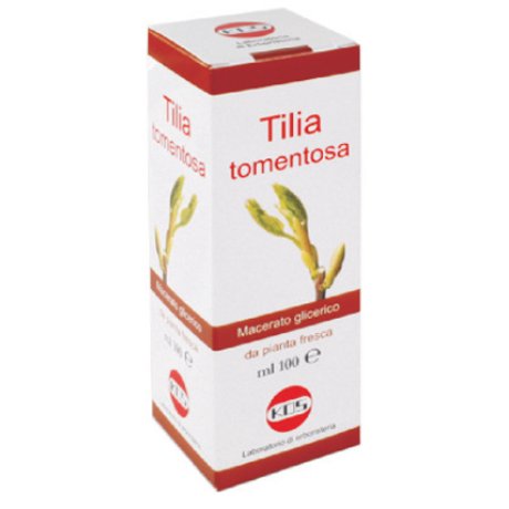 TILIA TOMENTOSA MG 100ML GTT