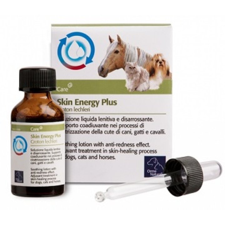 SKIN ENERGY PLUS CROTON 20ML SKIN ENERGY PLUS CROTON 20ML