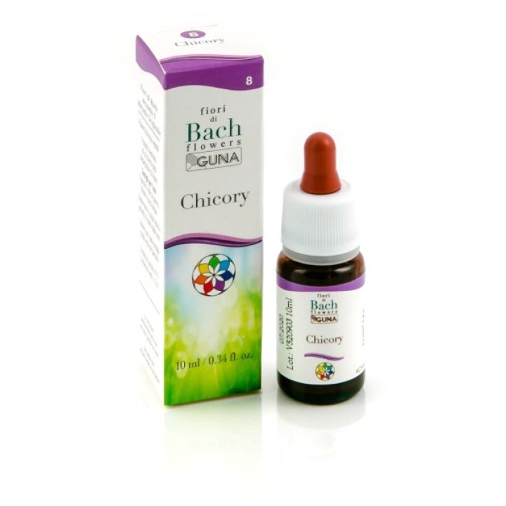 CHICORY GUNA CCE 10 ML