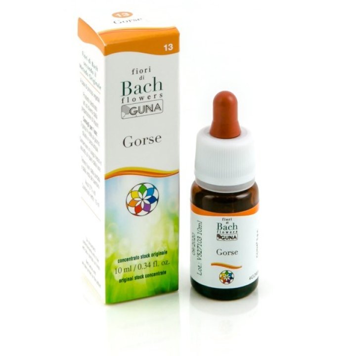 Gorse 13 10ml Gocce Bach Guna Gorse 13 10ml Gocce Bach Guna