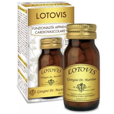 LOTOVIS 100PAST