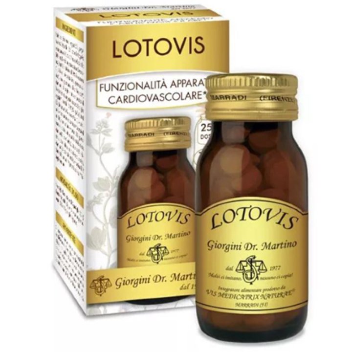 LOTOVIS 100PAST