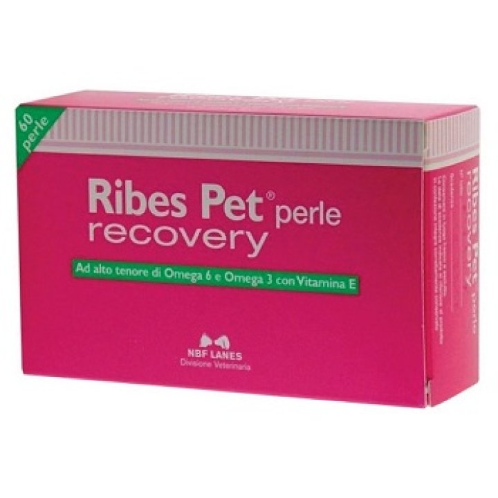 RIBES PET RECOVERY BLISTER 60 PERLE