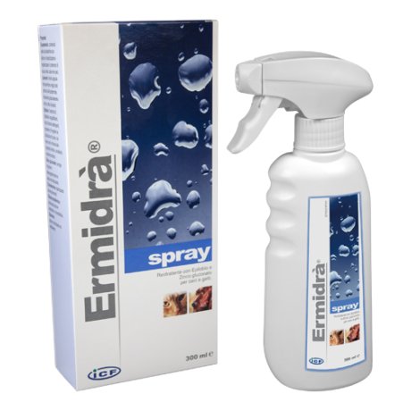 ERMIDRA  SPRAY 300ML