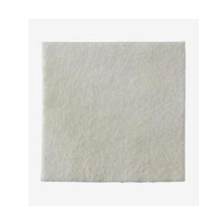 BIATAIN ALGINATE 15X15CM 10PZ BIATAIN ALGINATE 15X15CM 10PZ