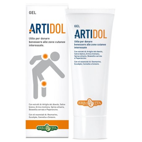 ARTIDOL GEL 100 ML